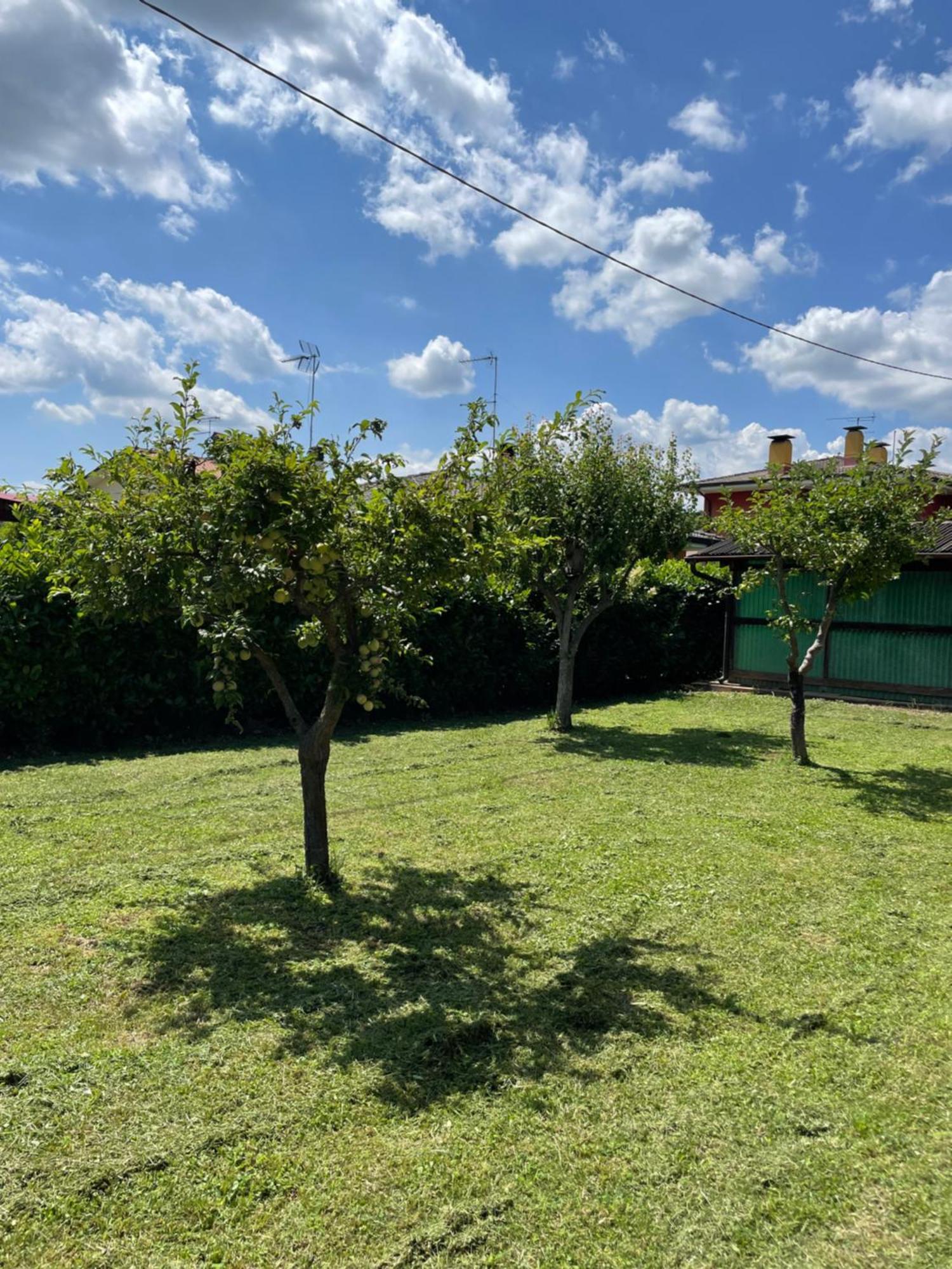 Villa A Casa Di Amici Vidor Esterno foto